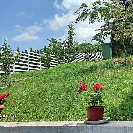 Fruskogorska Idila Apartmani Vrdnik Extérieur photo
